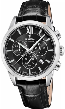 Часы Festina Swiss Made F20041/4