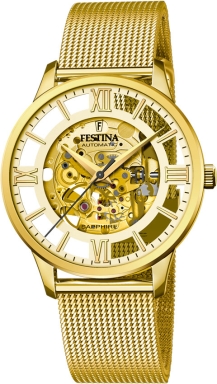 Часы Festina Automatic F20667/1
