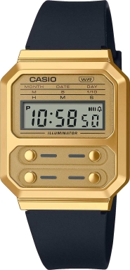 Часы Casio Vintage A100WEFG-9A